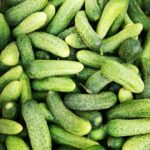 Traditional sweet cucumber pickles