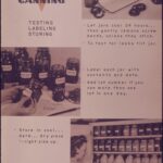 Home-canned tomato ketchup in pint canning jars — NCHFP tested recipe